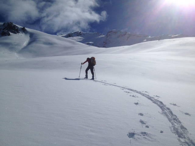 Gastgezin Gap 135980-5