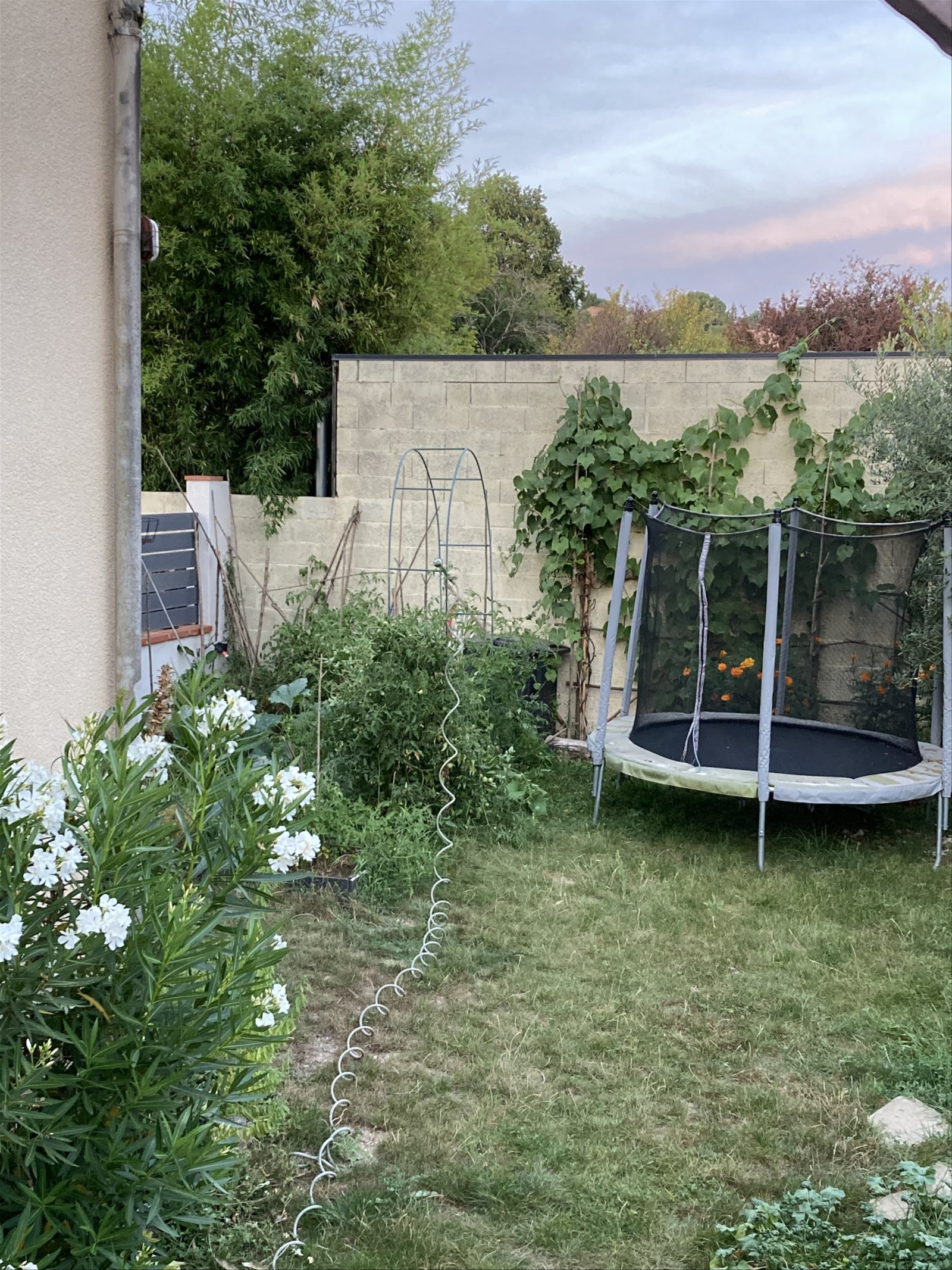 Homestay Venerque 318535