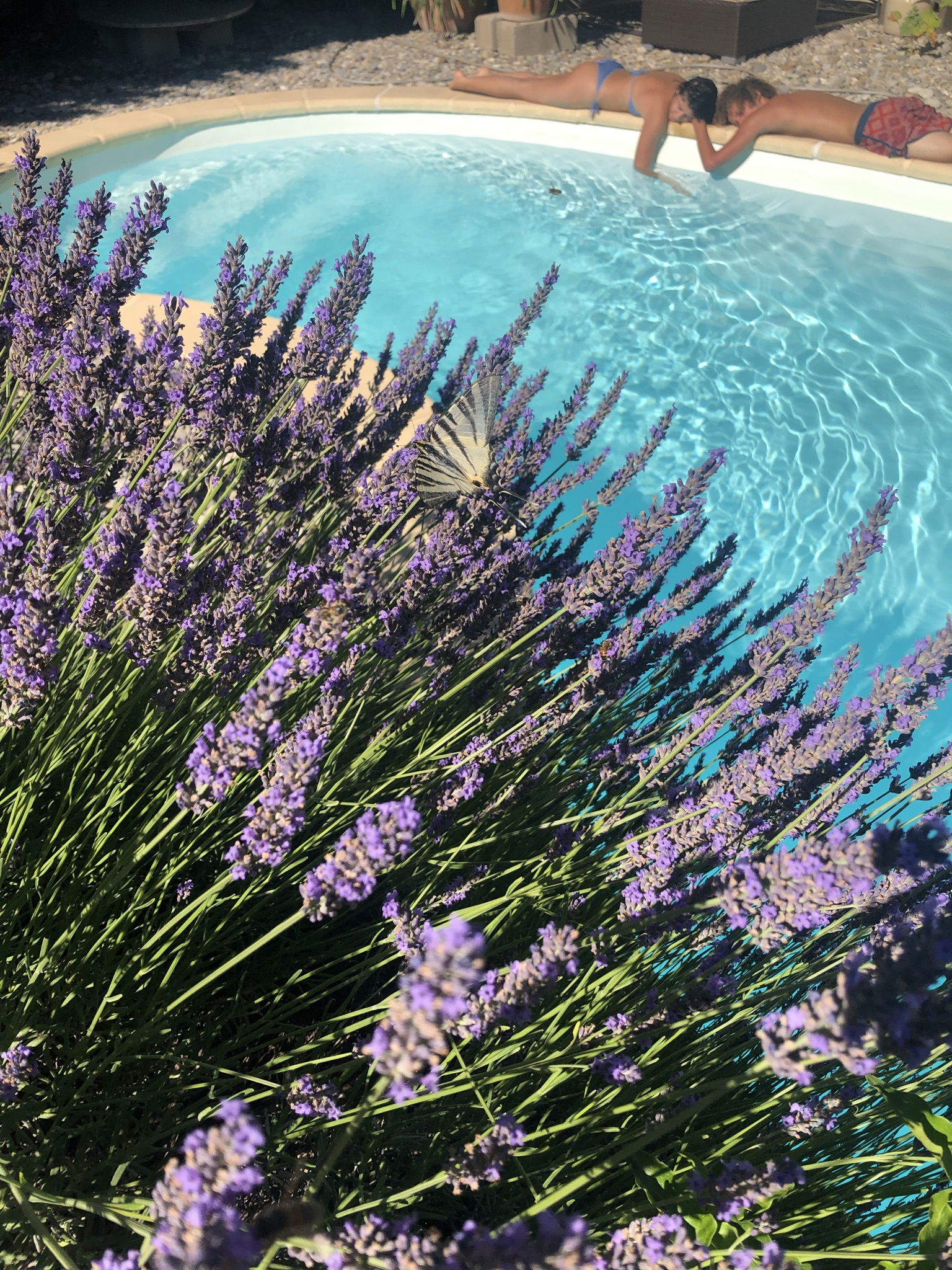 Homestay Éguilles 222416