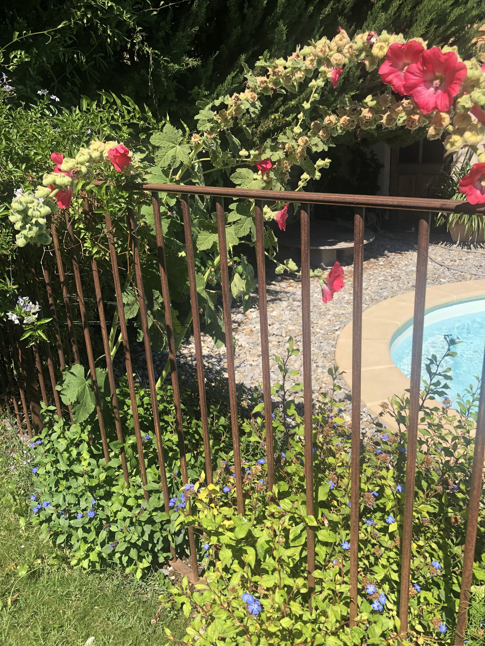 Homestay Éguilles 222416