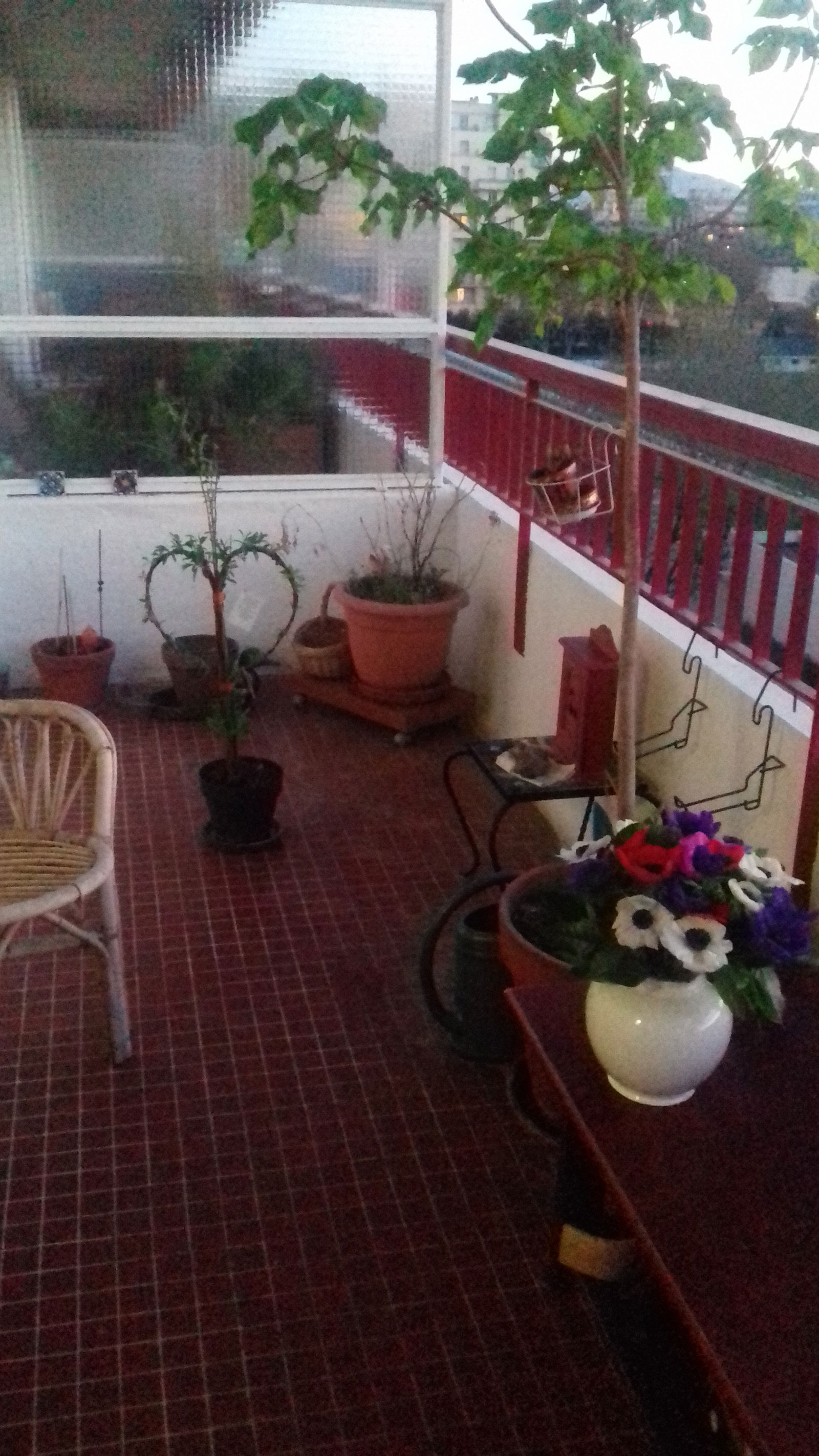 Homestay Marseille 123747
