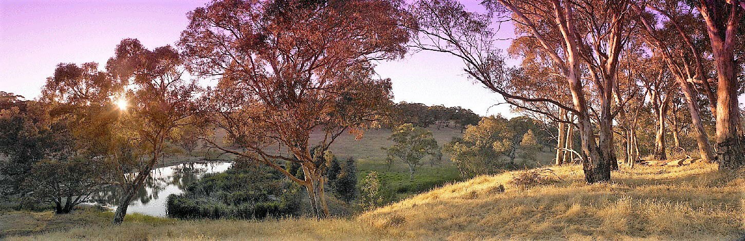 Homestay Craigburn Farm 213607
