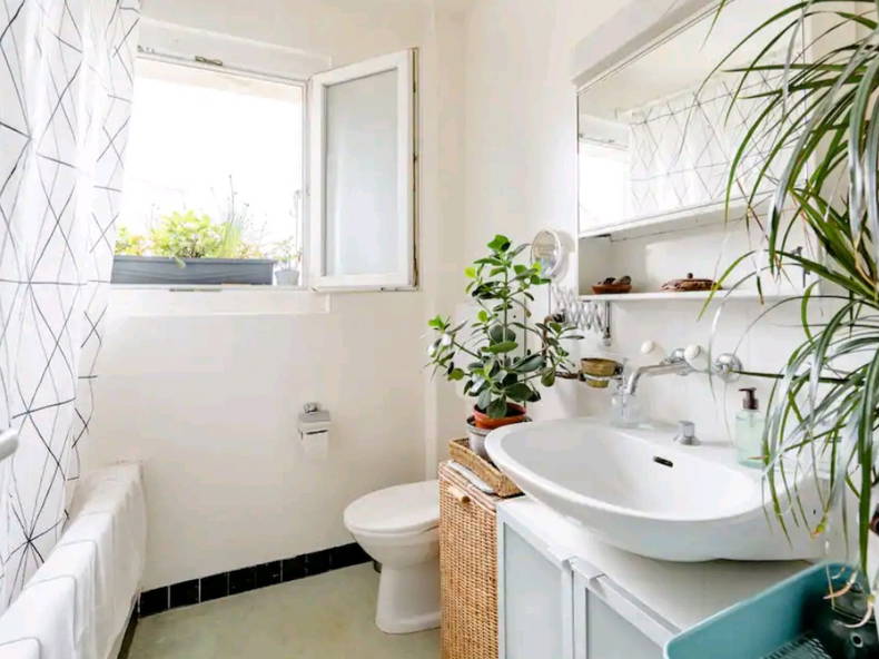 Homestay Morges 244652-4