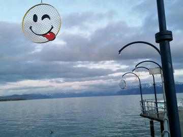 Homestay Morges 244652-10