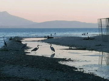 Homestay Morges 244652-9