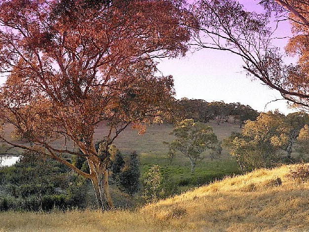Chambre Chez L'habitant Craigburn Farm 213607-2