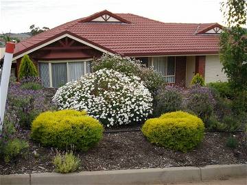 Chambre À Louer Adelaide 12545