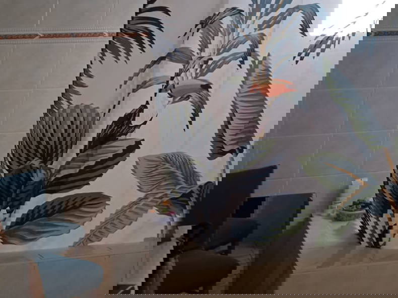 Homestay Houtaud 261476-3