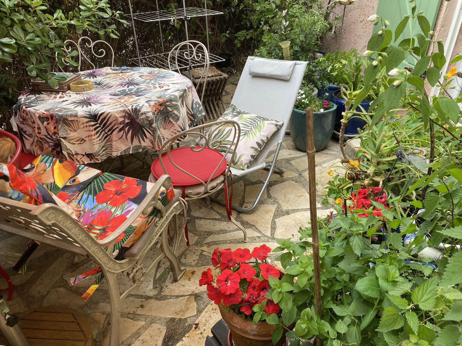 Homestay Villeneuve-Loubet 368014