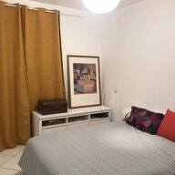 Colocation Montpellier 264249