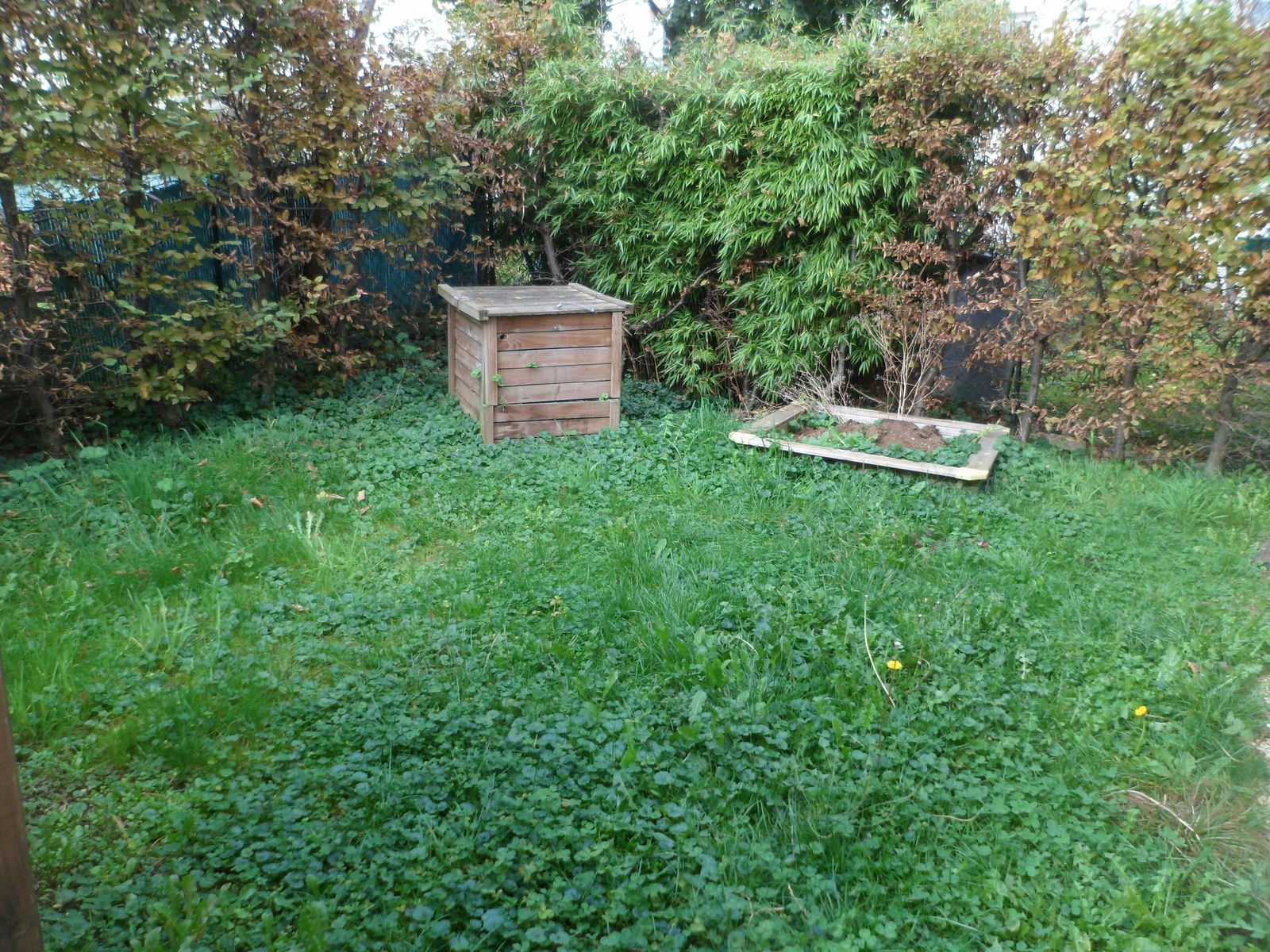 Homestay Besançon 131044