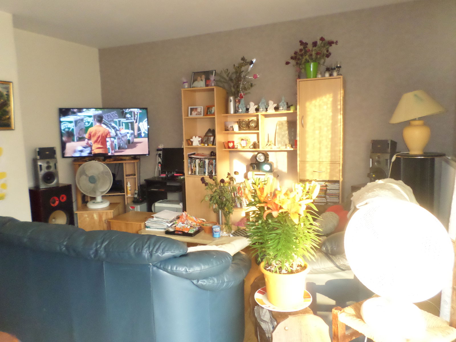 Homestay Besançon 131044