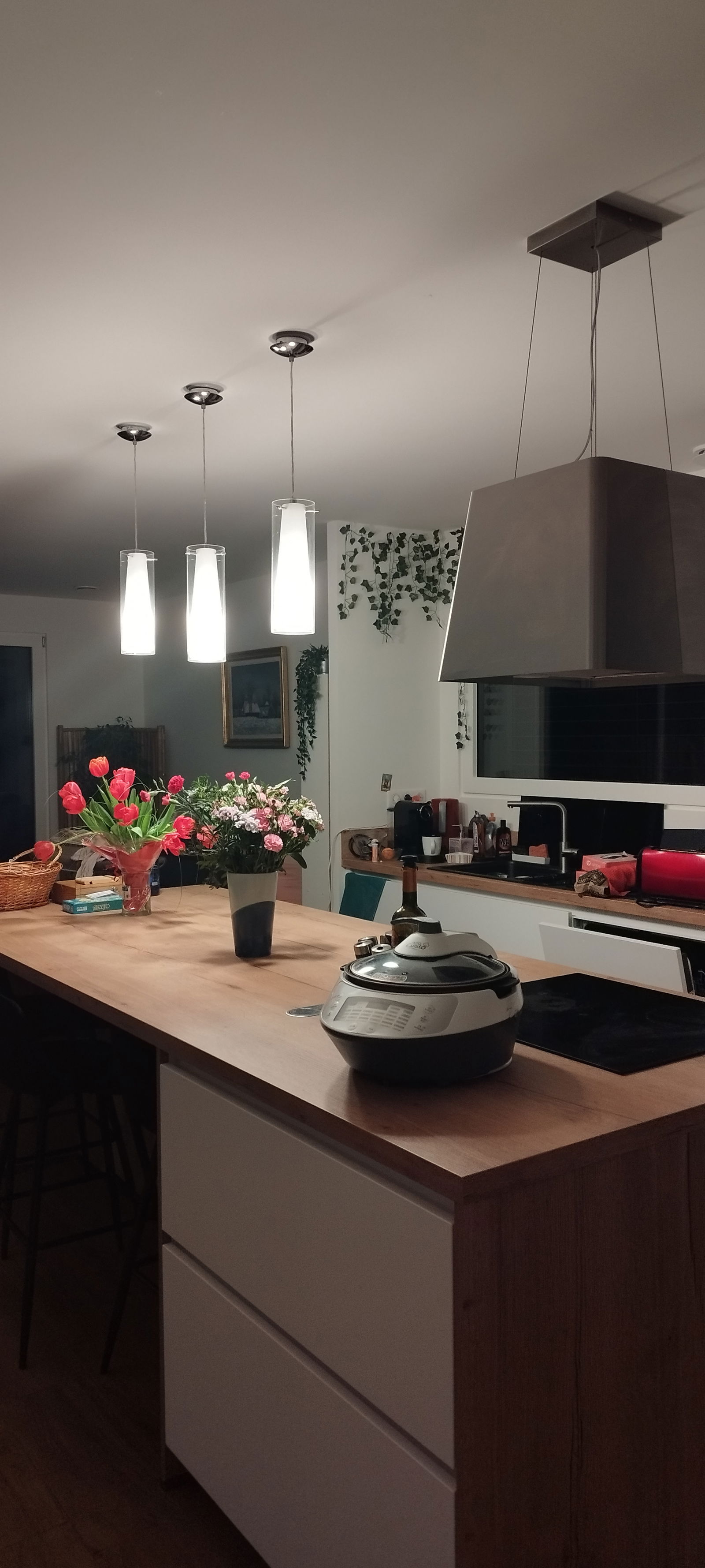 Homestay Carquefou 304509