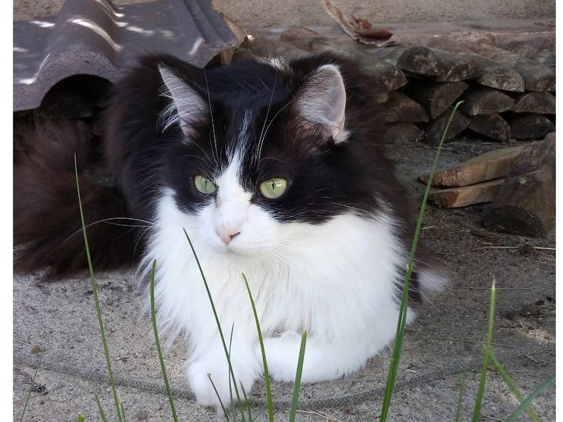 Quedarse En Casa Bourges 307586-5