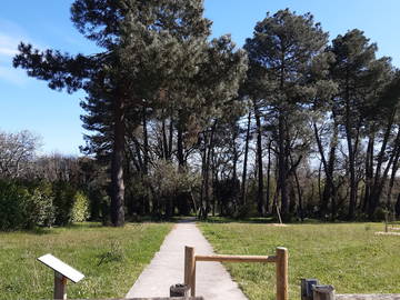 Chambre Chez L'habitant Pessac 232915-6