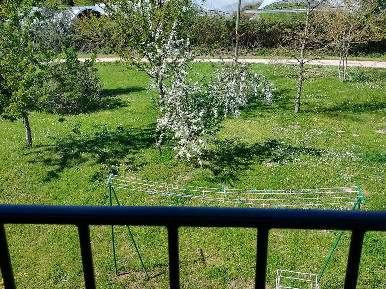 Gastfamilie Saint-Sylvestre-sur-Lot 257709-3