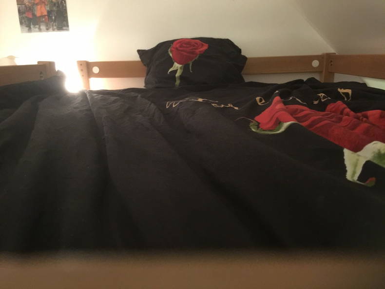 Gastfamilie Yvré-l'Évêque 12923-2