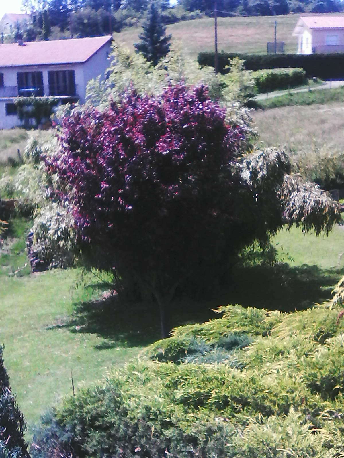 Homestay Saint-Chamond 137147