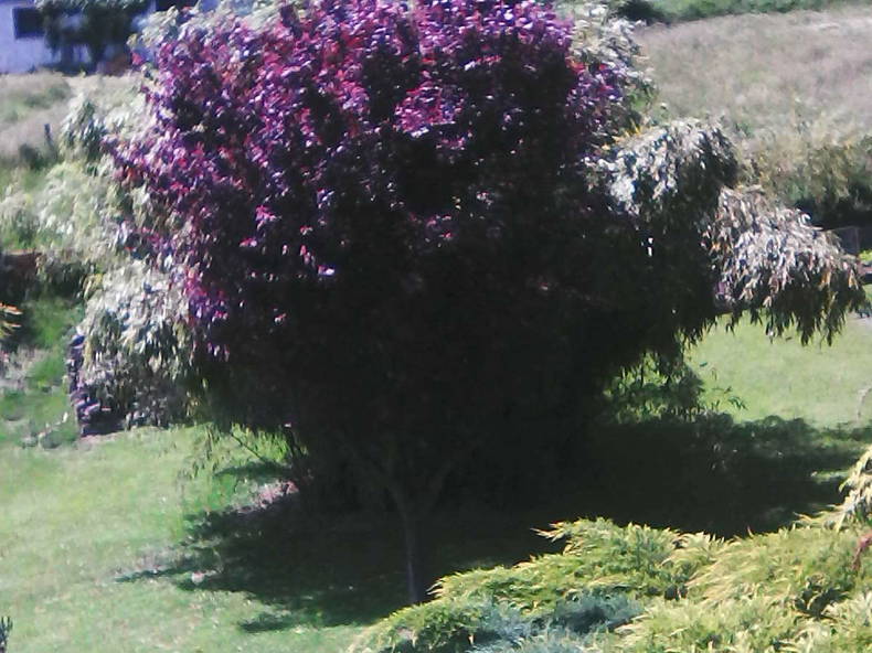 Homestay Saint-Chamond 137147-4