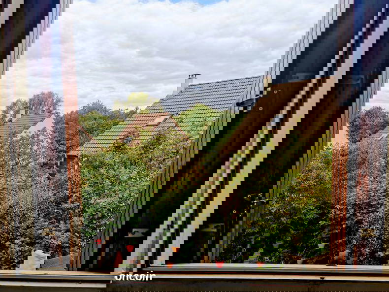 Gastfamilie Antony 491091-4