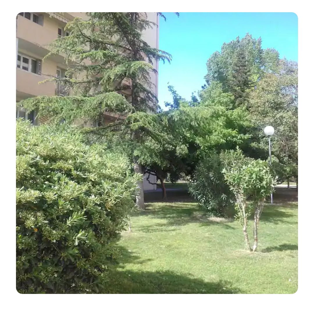 Hjemmeophold Montpellier 474310