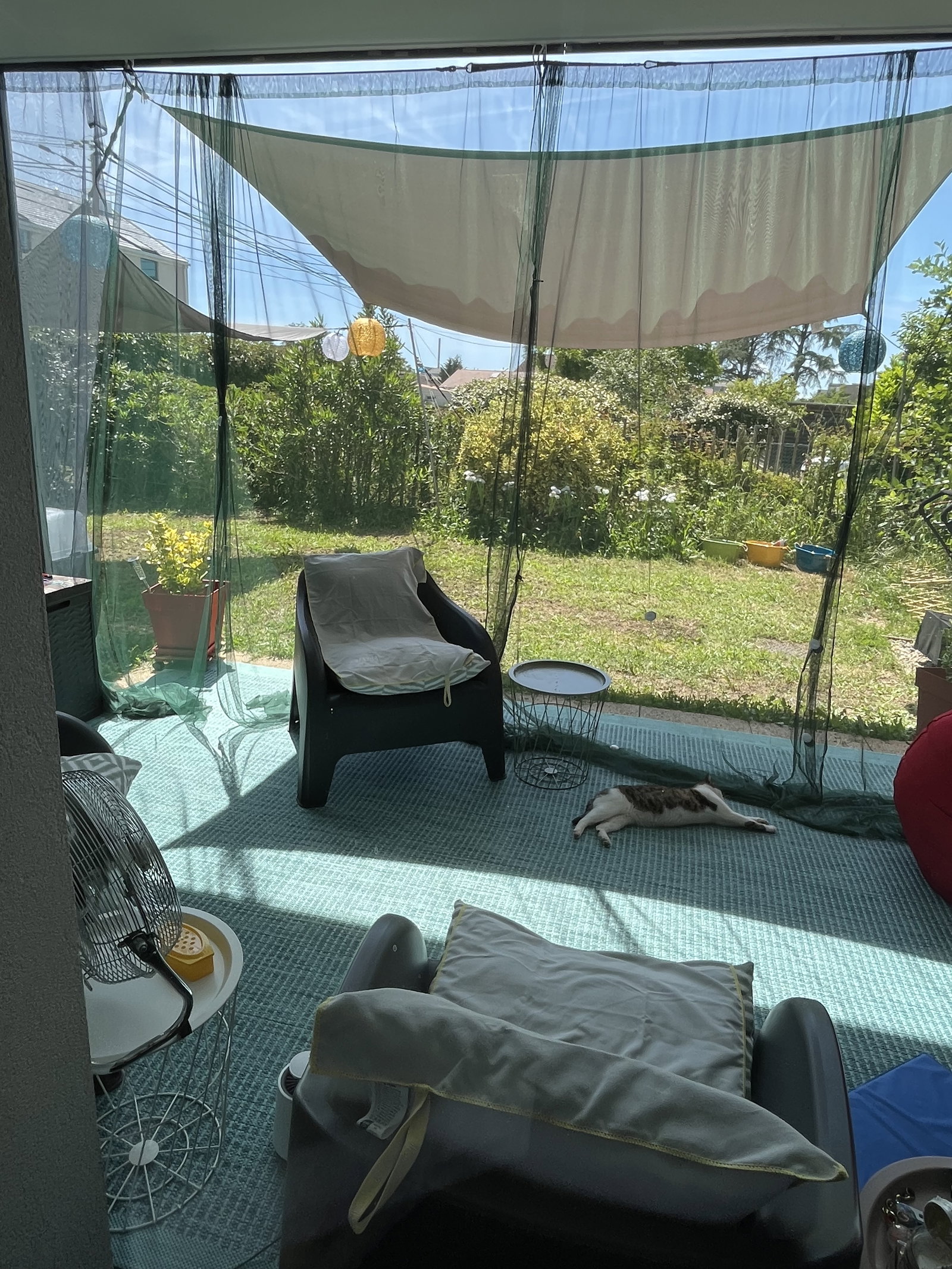 Homestay Bron 667722