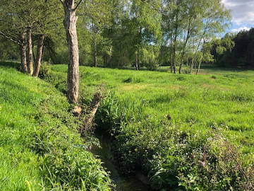 Chambre Chez L'habitant Cérans-Foulletourte 267863-9