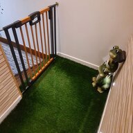 Homestay Saint-Franc 428711