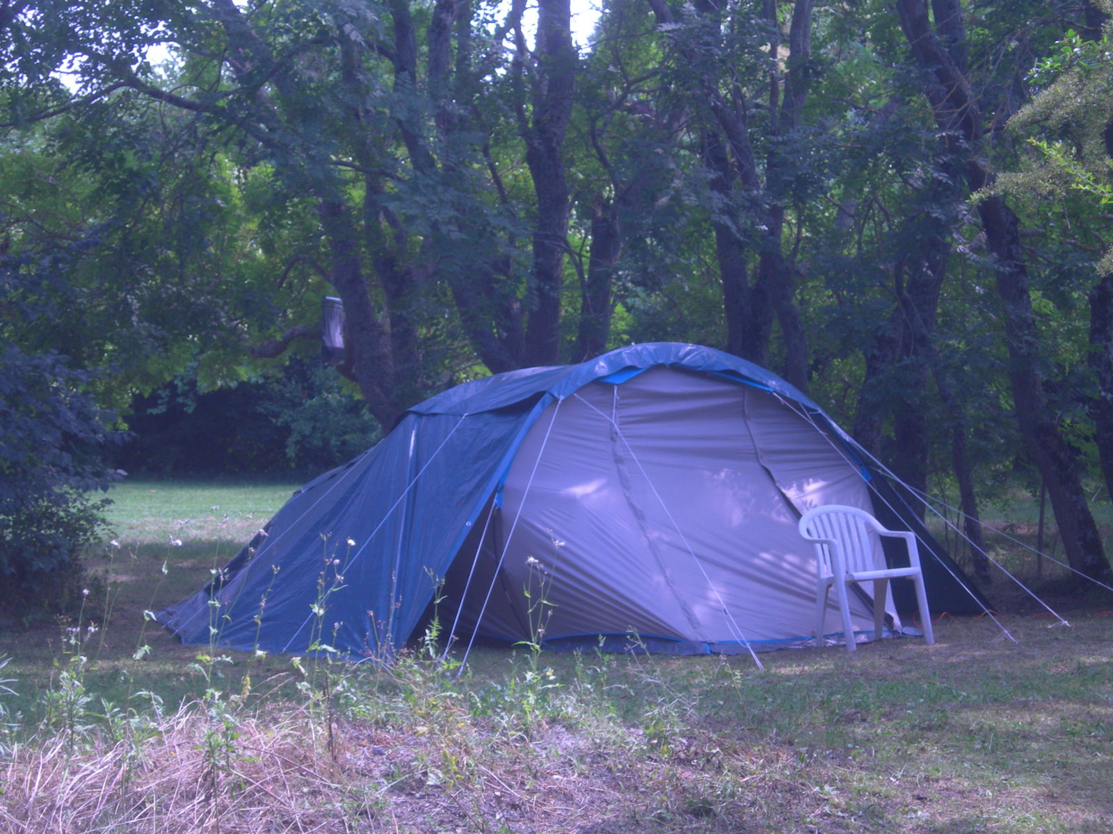 Homestay Ramonville-Saint-Agne 5219