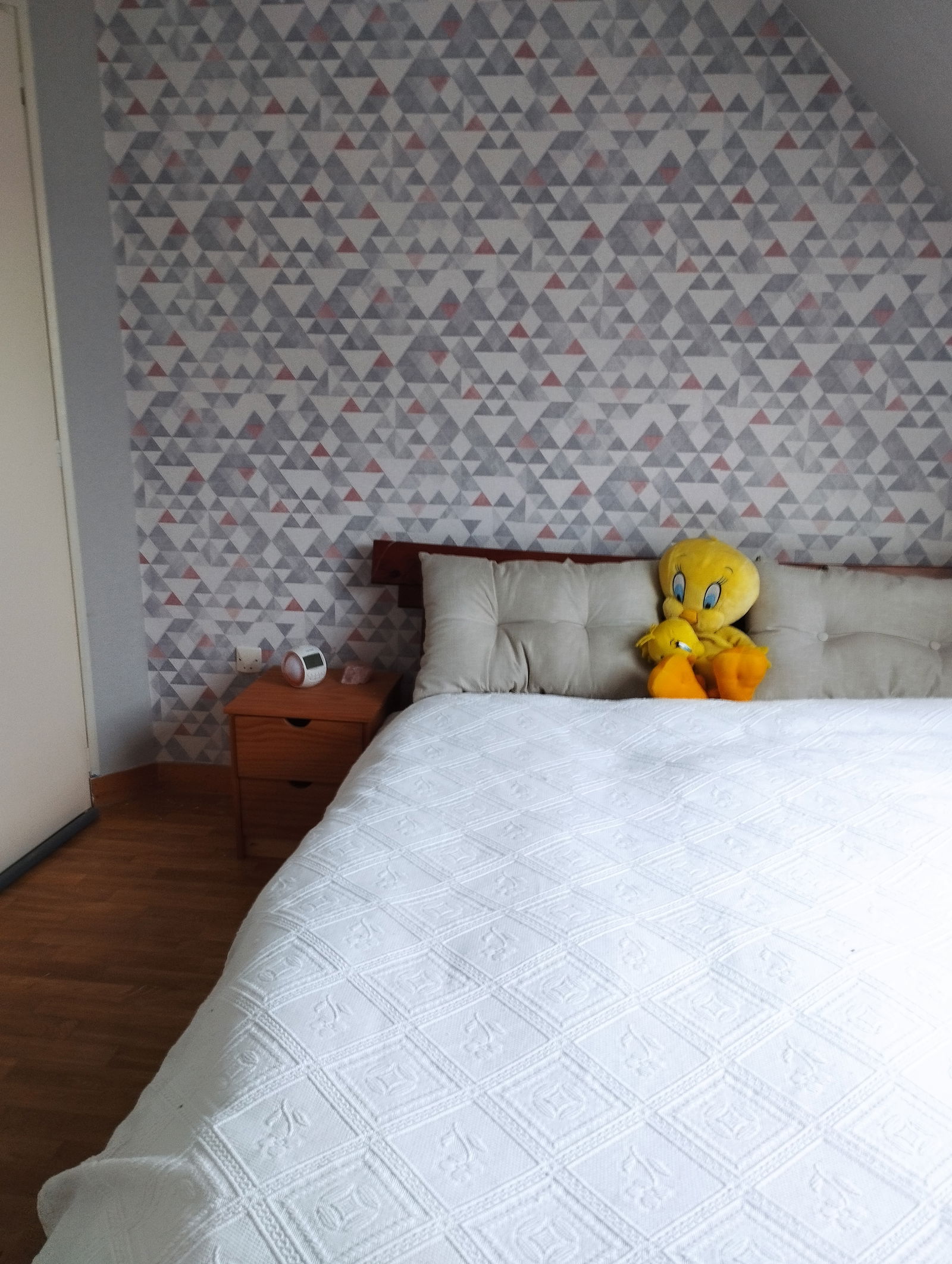 Homestay Saint-Jouan-de-l'Isle 254997