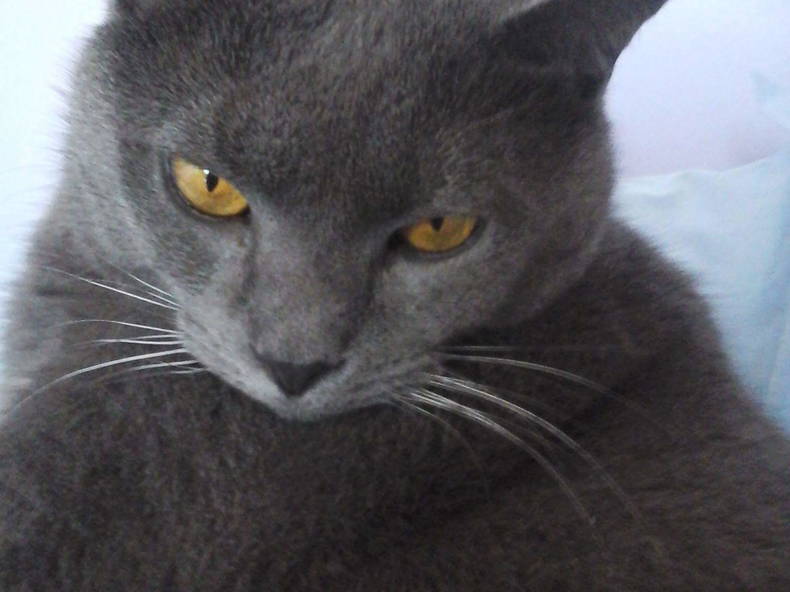 Chambre Chez L'habitant Châteauroux 122394-2