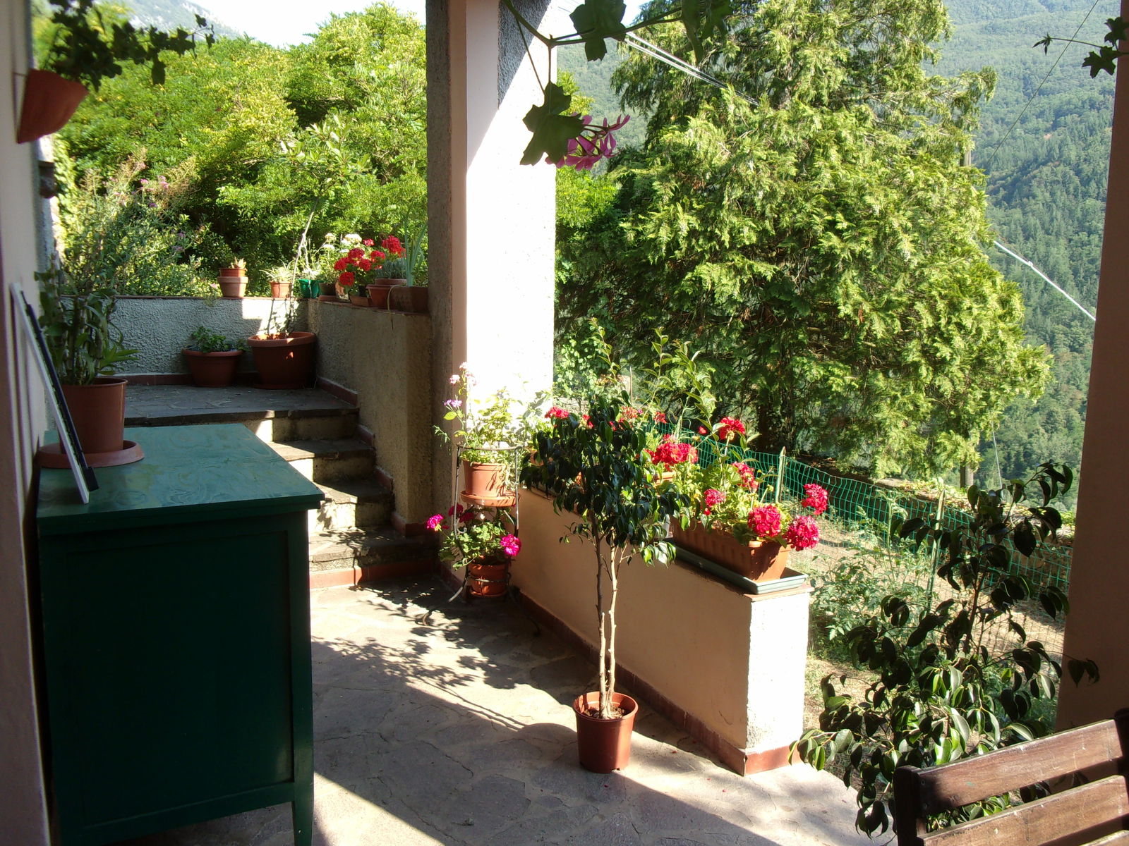 Homestay Cocciglia 132460