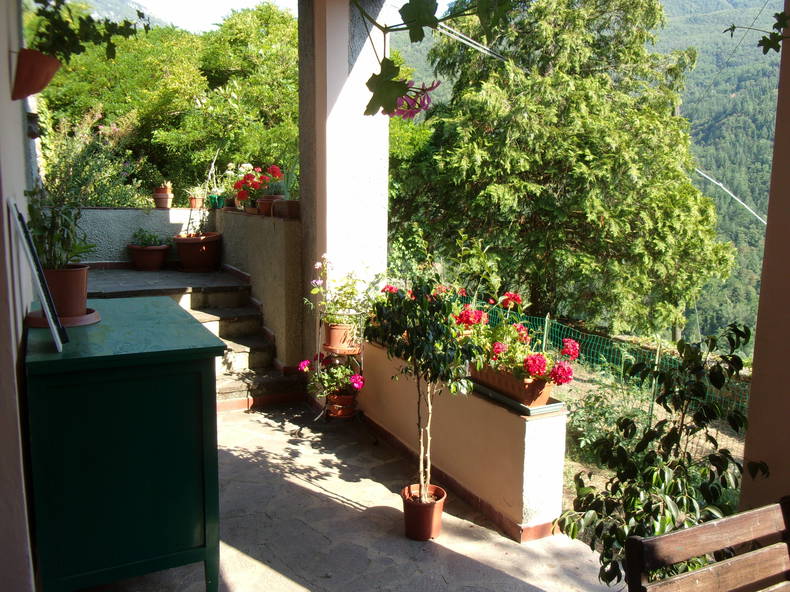 Quedarse En Casa Cocciglia 132460-4