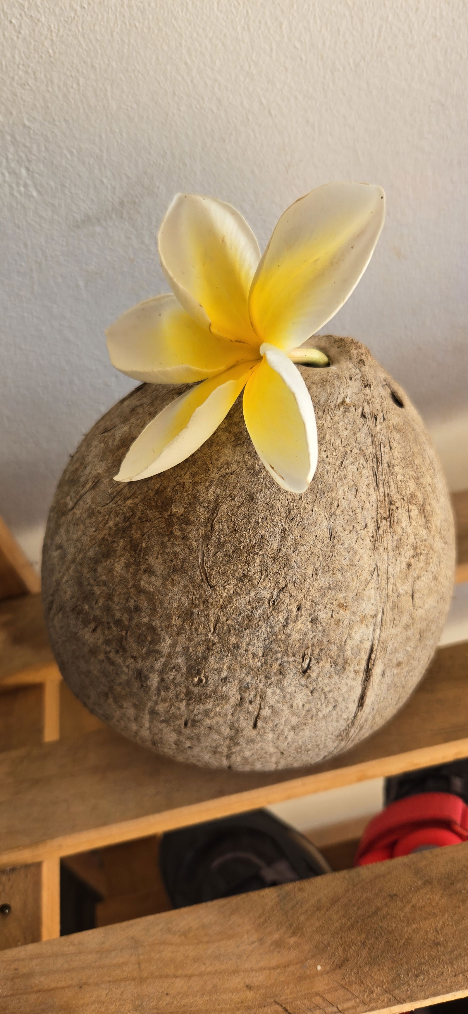 Tuisverblyf PAPETO'AI 595867