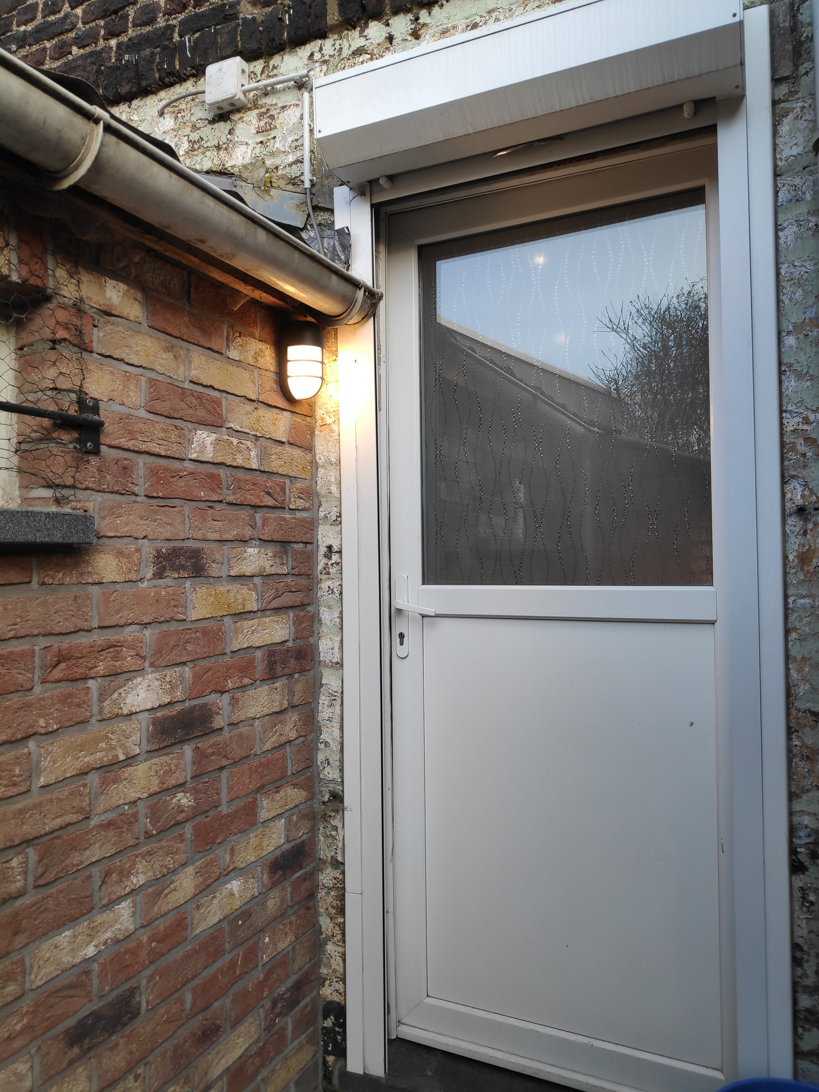 Kolokasie Charleroi 257898