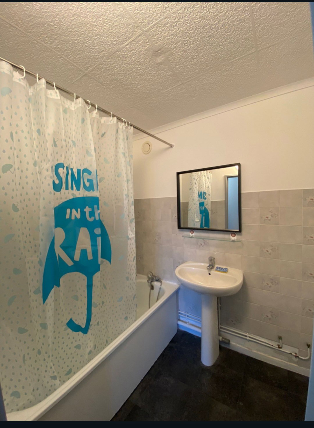 Kolokasie Saint-Denis 485417