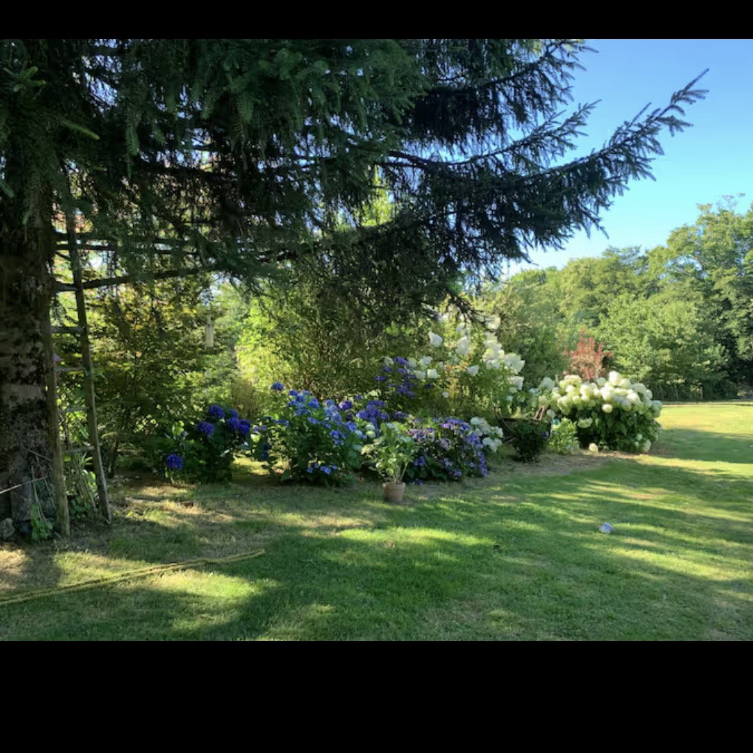 Gästrum Orgnac-sur-Vézère 664798
