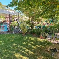 Homestay Moorea-Maiao 668433