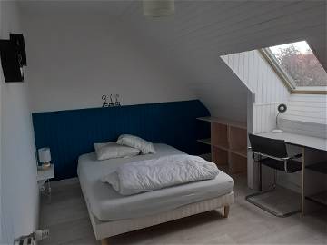 Room For Rent Angers 39083