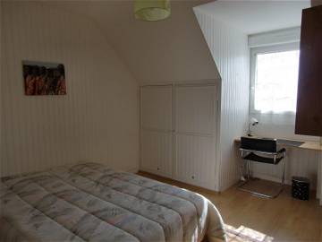 Room For Rent Angers 39083