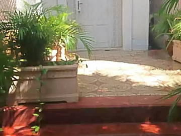 Bed And Breakfast La Habana 143925-5