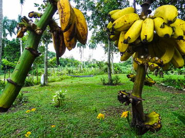 Chambre Chez L'habitant Soroa 149136-10