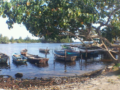 Quedarse En Casa Playa Larga 195266