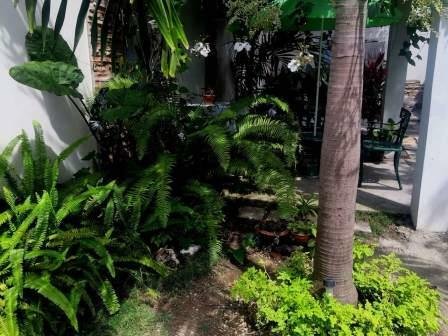 Estudio Independiente Cienfuegos 217182