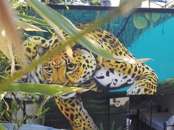 Chambre D'hôte Bogotá 156481-12