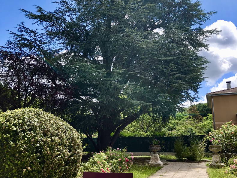 Entire Home Orsay 263742-3