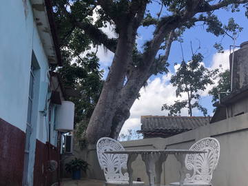 Chambre Chez L'habitant Viñales 266218-16