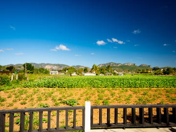 Chambre Chez L'habitant Viñales 266219-18