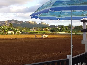 Chambre Chez L'habitant Viñales 266219-22