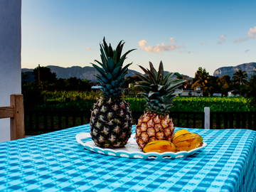 Chambre Chez L'habitant Viñales 266220-9